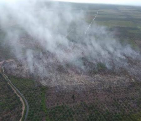 Termasuk Riau Hotspot Terdeteksi Di Sumatera